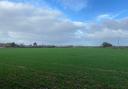 The field where the homes would be built on land off Barton Way in Ormesby St Margaret