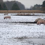 A cold weather warning has been issued across England