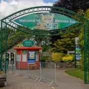 Trainee zookeepers at Banham Zoo and Africa Alive are set to lose their jobs