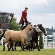 Atkinson Action Horses will be demonstrating a mixture of dressage and Cossack trick riding