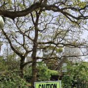 Signage on the running course