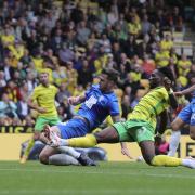 Norwich City travel to St Andrew's on the final day of the Championship campaign.