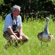 Ed Pope, founder of the Watatunga Wildlife Reserve, with a great bustard