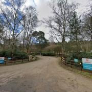 The entrance to the campsite on the Royal Estate at Sandringham