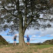 Neil Featherby with Jason Wright by what was the Famous Sycamore Gap Tree on route to running the 84 miles of Hadrian’s Wall under 24 hours in 2018.