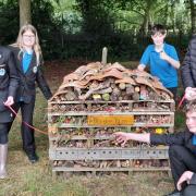 Northgate High School’s Orchard Committee has won a top award