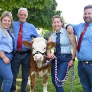 Royal Norfolk Show livestock competitors, from left, Fiona Searle, Jim McMillan, Helen Searle, and Marcus Searle with a calf from the prize-winning Guiltcross Simmentals herd in Kenninghall