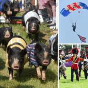 All of the best pictures from the first day of the Royal Norfolk Show