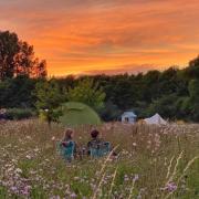 Four Norfolk campsites have been named among the most 