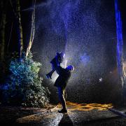 The Sparkly Light Trail is part of the Christmas experience at BeWILDerwood