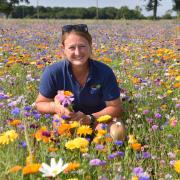 Annelise Easton in the pick-your-own wildflower field at The Pulham Patch