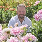 Owner Tony Calver in the 'Dahlia Addiction' field at The Old Vineyard Nursery