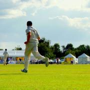 The unique sight of the Norfolk Cricket Festival