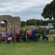 Participate in the 2024 Great Global Greyhound Walk aiming to break records - a group in Hunstanton