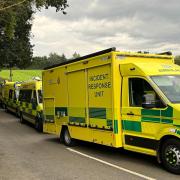 Neighbours have said a gun was seen in Marsham earlier this week