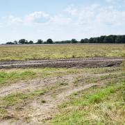 The land where a housing development may be built at Larling