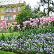 The grounds of Peckover House at Wisbech