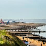 Should a ban on dogs remain in force on Hunstanton Beach?