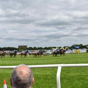 Fakenham racecourse hosts its first meeting of the new National Hunt season on Friday