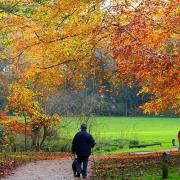 What will the weather be like in Norfolk this November?