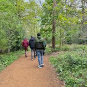 A range of activities ahead of Holt Youth Project's Big 20th anniversary celebrations on November 5. Walking in Bluebell Wood. Picture: Holt Youth Project