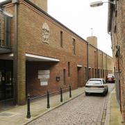 An unlicensed dog breeder has appeared at King's Lynn Magistrates' Court