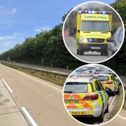 A woman has died after a crash on the A11