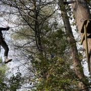 Young carers enjoy day out at Thorpe Adventure Park