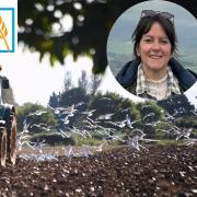 Emily Norton is a Norfolk farmer, Nuffield scholar and founder of Farm Foresight, a strategic advisory service for the rural sector