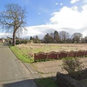 The site of the proposed development at Terrington St Clement