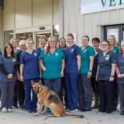 The team at Dereham Vets will be celebrating the practice's one year anniversary