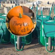 Some of the wheelbarrows were found in Suffolk