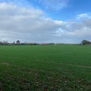 The field where the homes would be built on land off Barton Way in Ormesby St Margaret