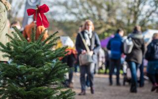 The Pensthorpe Christmas Market returns bigger than ever for 2024