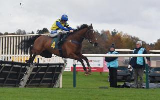 Sean Bowen and Secret Des Dieux on their way to winning the Anglia Car Auctions maiden hurdle race at Fakenham