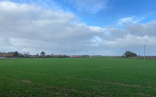 The field where the homes would be built on land off Barton Way in Ormesby St Margaret